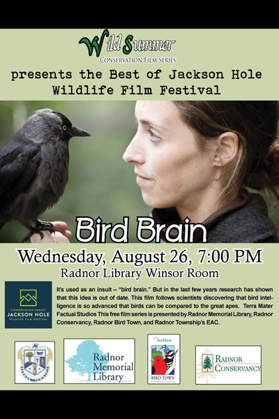 Póster de Bird Brain