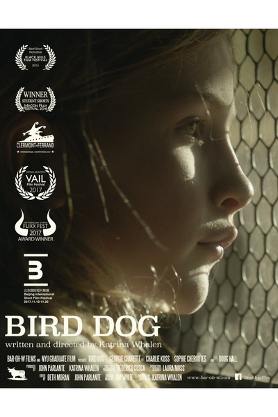 Póster de Bird Dog