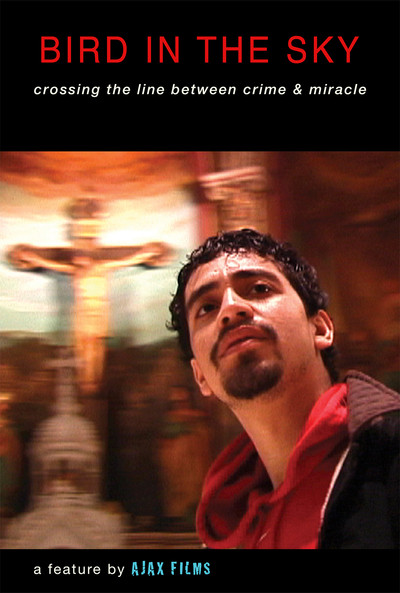 Póster de Bird in the Sky