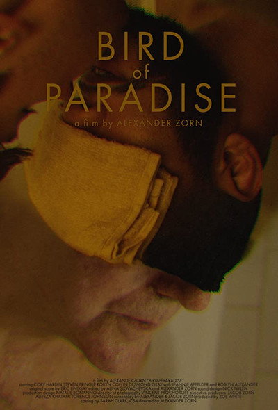 Póster de Bird of Paradise