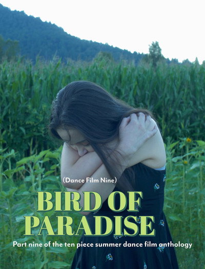 Póster de Bird of Paradise