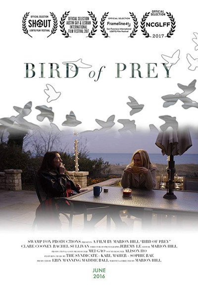 Póster de Bird of Prey