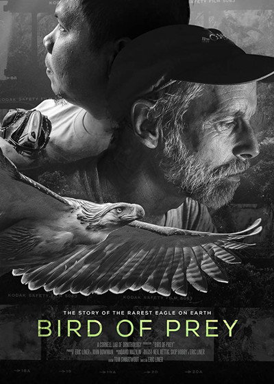 Póster de Bird of Prey