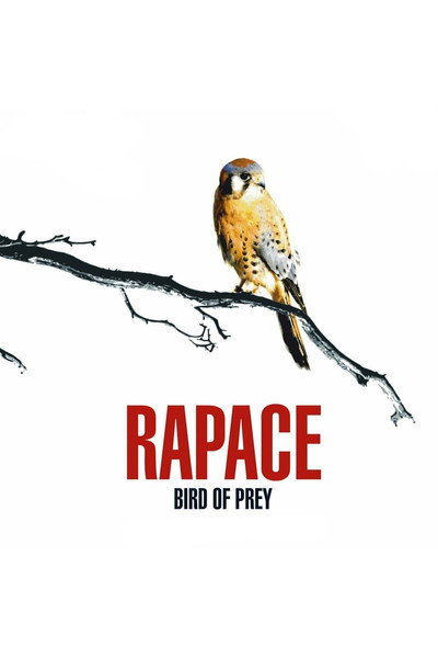 Póster de Bird of Prey