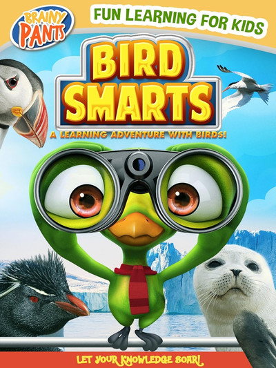 Póster de Bird Smarts