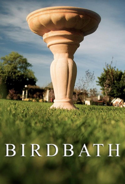 Póster de Birdbath