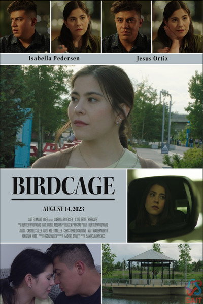 Póster de Birdcage