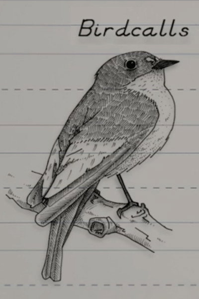 Póster de Birdcalls