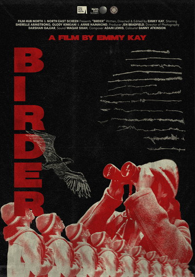 Póster de Birder