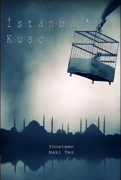 Póster de Birdmen of Istanbul