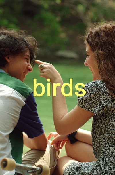 Póster de Birds