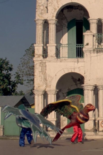 Póster de Birds