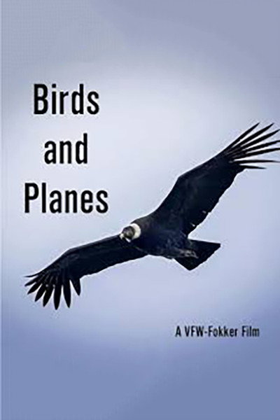 Póster de Birds and Planes