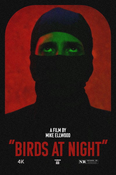 Póster de Birds at Night