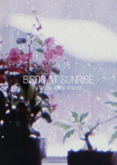 Póster de Birds at Sunrise
