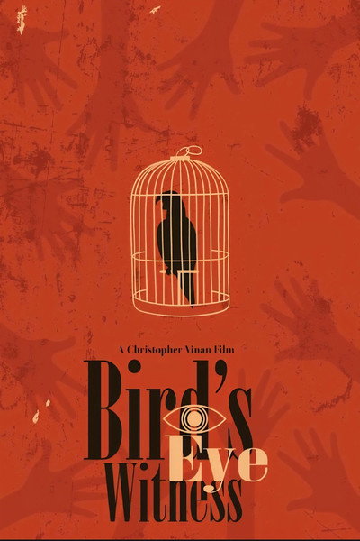 Póster de Bird's Eye Witness