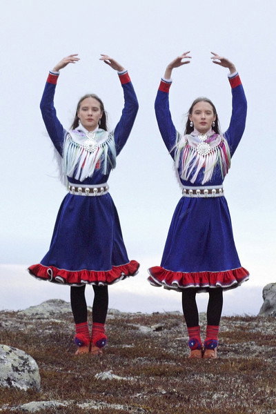 Póster de Birds in the Earth