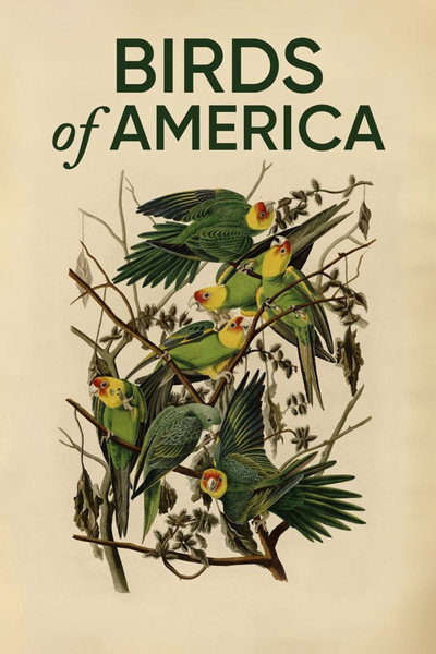 Póster de Birds of America