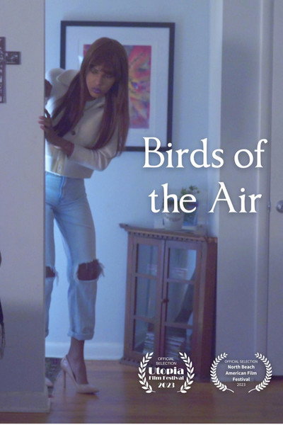 Póster de Birds of the air