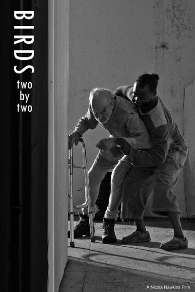 Póster de Birds Two by Two