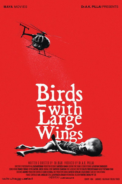 Póster de Birds with Large Wings