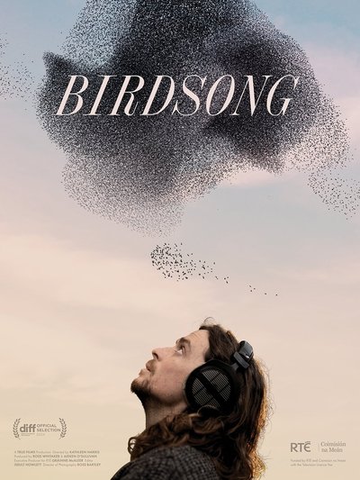 Póster de Birdsong