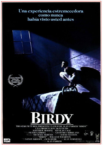 Póster de Birdy