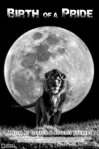 Póster de Birth of a Pride: Lion Conservation
