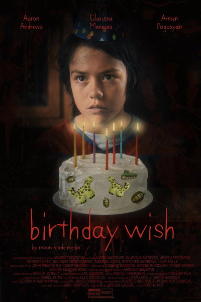 Póster de Birthday Wish