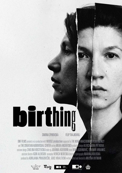 Póster de Birthing