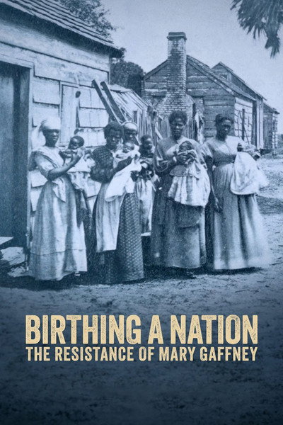 Póster de Birthing a Nation: The Resistance of Mary Gaffney