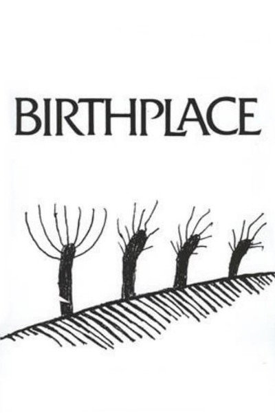 Póster de Birthplace