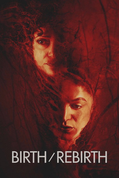 Póster de Birth/Rebirth