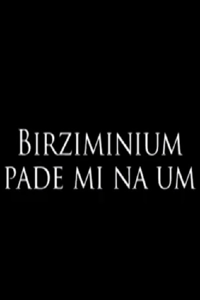Póster de Birziminium pade mi na um!