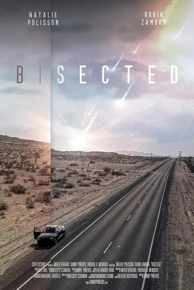Póster de Bisected