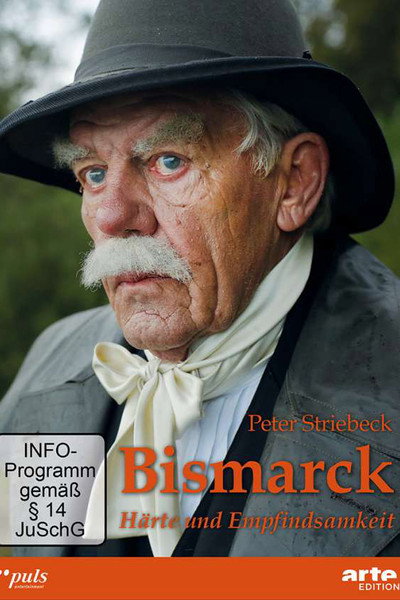 Póster de Bismarck: le dernier combat