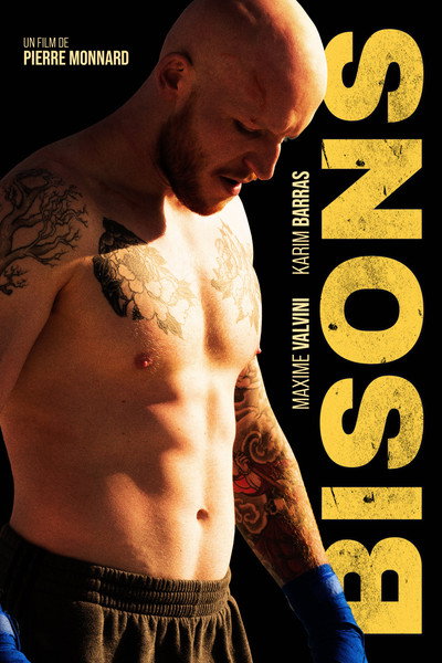 Póster de Bisons