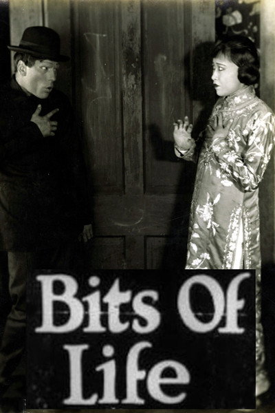 Póster de Bits of Life