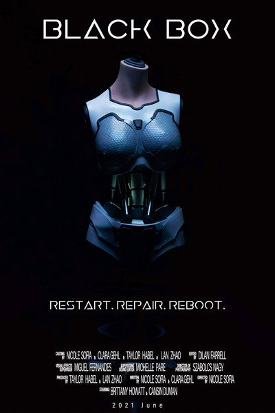 Póster de Black Box