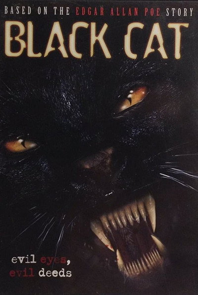 Póster de Black Cat