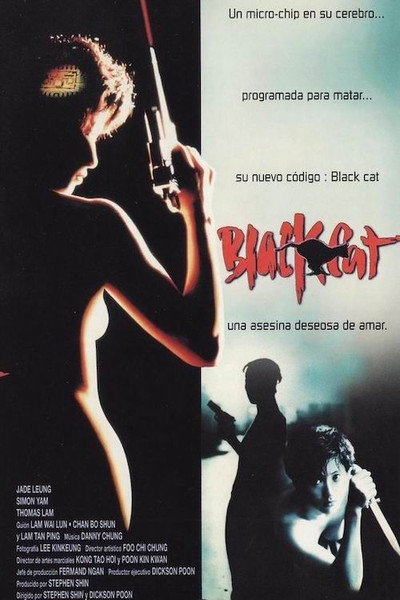Póster de Black Cat