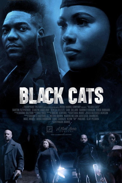 Póster de Black Cats, White Mice