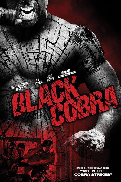 Póster de Black Cobra
