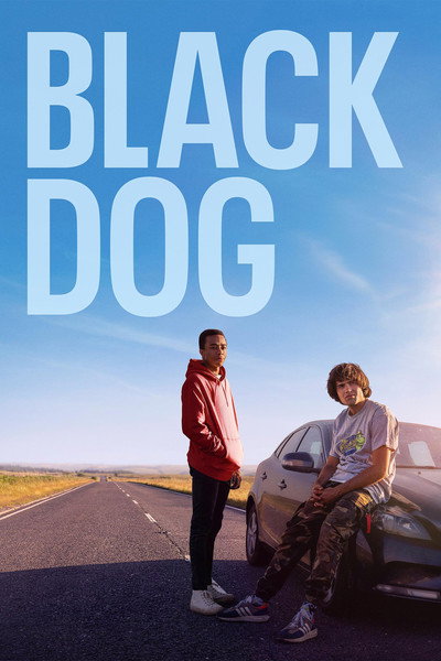 Póster de Black Dog