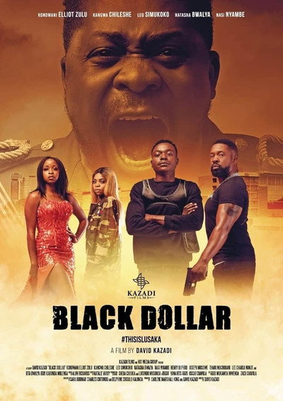 Póster de Black Dollar