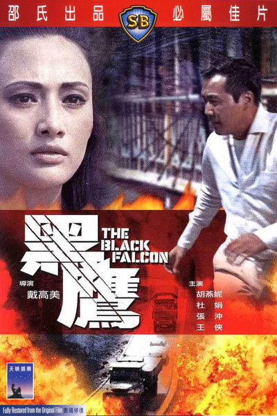 Póster de Black Falcon