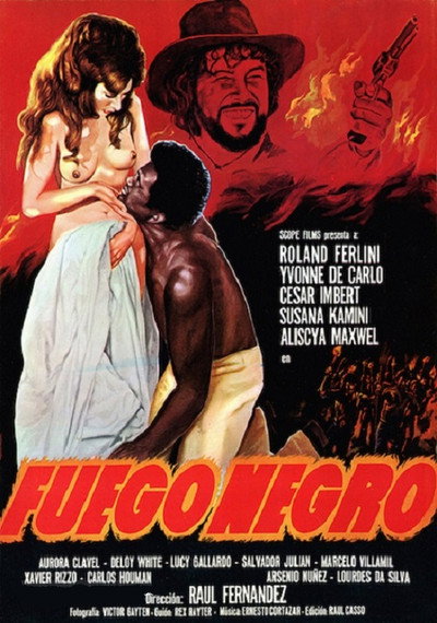 Póster de Black Fire