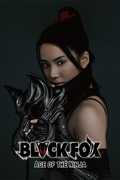 Póster de Black Fox: Age of the Ninja