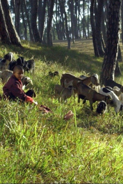 Póster de Black Goat