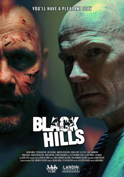 Póster de Black Hills